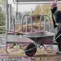 Dierenzorg onderhoud van verblijven 1743589010